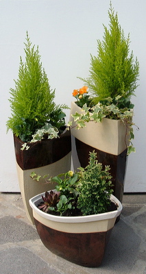 tripots