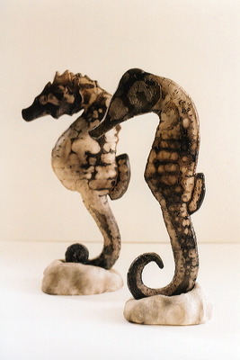 seahorses